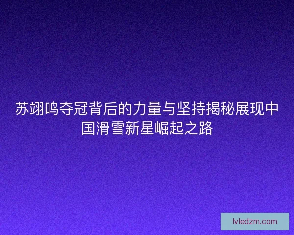 苏翊鸣夺冠背后的力量与坚持揭秘展现中国滑雪新星崛起之路